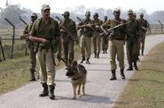 BSF Recruitment 2014 Notification Apply for 70 Vacancies