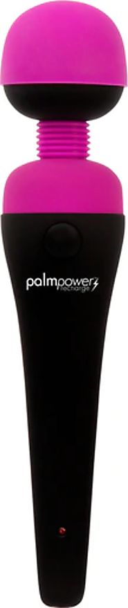 PalmPower Recharge Waterproof Personal Massage - Deviant Den Adult Shop