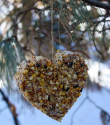 Heart-Shaped Bird Feeder DIY