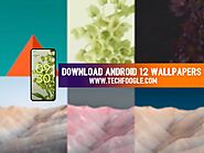 Website at https://www.techfoogle.com/download-android-12-wallpapers/