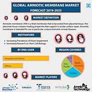 Amniotic Membrane Market Size, Share, Trends and Forecast to 2025