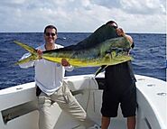 Miami fishing charters