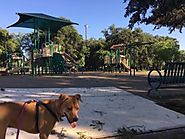 Blossom Park - Community Park In San Antonio - PLACES FOR PUPS