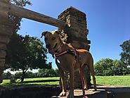 Mission San Jose Historical Park in San Antonio - PLACES FOR PUPS