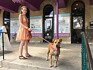 A Dog Friendly Hemisfair Adventure - Where All People Come to Meet - PLACES FOR PUPS