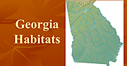 Georgia Habitat.ppt - Google Slides