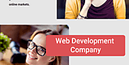 A Web Development Company Can Be Multi Function | Infographic