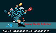 Website designing Company Haridwar |http://nexusmediasolution.com/website-designing-company-location-haridwar.html