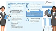What are the 6 components of a marketing audit?