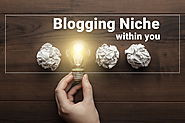 How to Choose a Best Blogging Niche to Become Successful?
