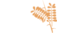 Ironwood Dermatology