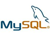 Il Software - Databases