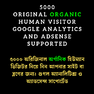 5000 Organic Visitor – Google Analytics & Adsense Supported | Muntasir Mahdi