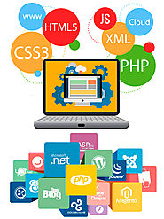Web Designing Services in Mahipalpur, Delhi NCR