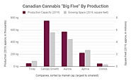Investing In Canadian Cannabis: A Brief Primer