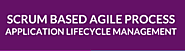 Scrum Based Agile Process- Application Lifecycle Management - SphinxWorldBiz