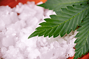 What is CBD Isolate? : Everything About it & Its Usage