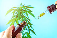 The Uses and Quick Facts About CBD Tinctures