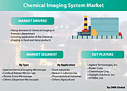 Chemical Imaging System Market Segmentation, Forecast, Market Analysis, Global Industry Size and Share to 2025