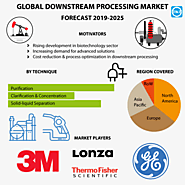 Downstream Processing Market Size, Share, Trends and Forecast to 2025