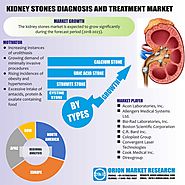 Kidney Stones Diagnosis And Treatment Market: Market Size, Market Share and Forecast 2018- 2023