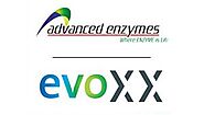 Feed Enzymes - Suppliers in India