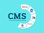 Content Management System | Endurance Softwares