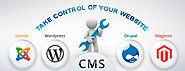 CMS Development Services | Endurance Softwares