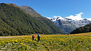 Routeburn Track (Shelter to Flats)