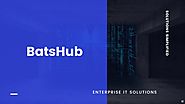 BatsHub Company Profile