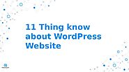 11 Thing know about Wordpress Website