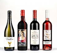 Vineyard Tours & Wine Tasting in Switzerland | DesVignerons