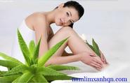 Chăm sóc da khỏe mạnh với thảo mộc