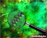 Giảm mỡ bụng với tảo xoắn Spirulina