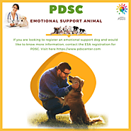 How to get emotional support animal letter