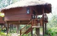 The top 5 Tree house resorts in India