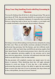 Keep Your Dog Smelling Fresh with Dog Grooming in Thornton