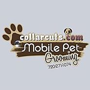 Collar Cuts Mobile Pet Grooming On Facebook
