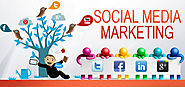 Social Media Marketing Company India | SMM Services | Endurance Softwares