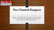 Pest Control Gurgaon2019(PPT) | edocr