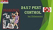 24x7 pest control (1)