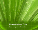 Aloe Vera PowerPoint Template | Free Powerpoint Templates