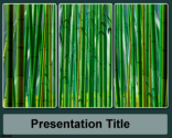 Sugar Cane PowerPoint Template | Free Powerpoint Templates