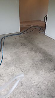 carpet cleaning