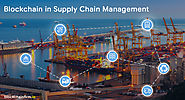 supply chain management service provider