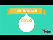 Treezy Pty Ltd - Tree Care Services Brisbane Southside