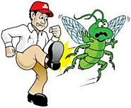 How to insure you get the most out of the pest control treatment? – Pest Control 24X7