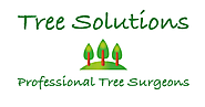 Why Should You Hire A Tree Surgeon?