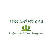 What is a tree surgeon and what are the services offered? by Tree Solutions
