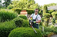Let Us Maintain Your Local Hedge Cutting Christchurch